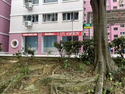 Blk 748 Pasir Ris Street 71 (Pasir Ris), HDB 5 Rooms #531739221